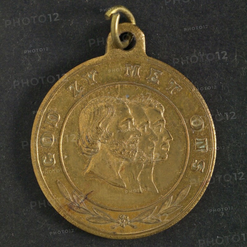 W. Pauwels & zn, Contribution fee at the Orange Festival in The Hague, bearer penny identification bearer brass brass gold