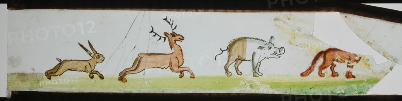 Hand-painted lantern plate with animals, slide slide slideshope images glass paper, Hand-painted slides with top and bottom