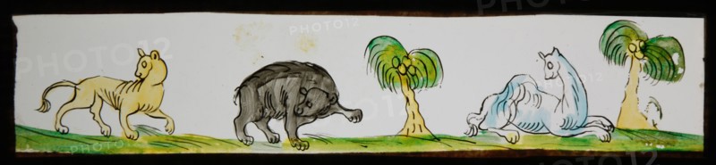 Hand-painted lantern plate with wild animals and palms, slide slide slideshope images glass paper, Hand-painted slides