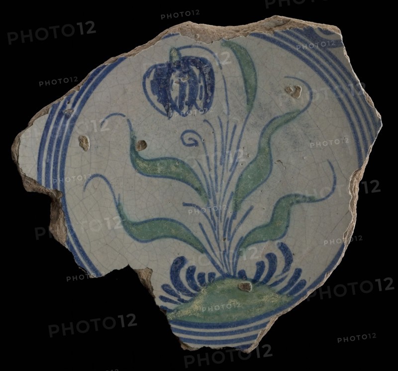 Fragment majolica dish, polychrome, with tulip on ground, plate crockery holder soil find ceramic earthenware glaze, baked