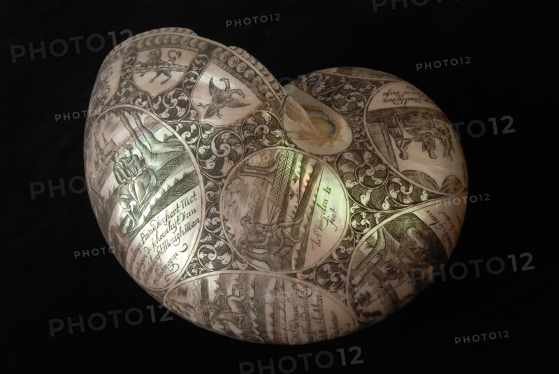 Engraved nautilus shell, nautilus shell conch shell mother of pearl, engraved Nautilus shell engraved with erotic