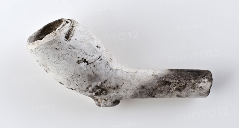 White clay pipe, unnoticed, with smooth handle and stylized Tudor rose on the kettle, clay pipe smoking equipment smoke floor
