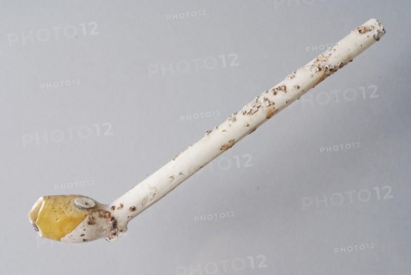 Hendrick Jansz., Clay pipe, unnoticed, from the waste from Rotterdam pipe making, clay pipe smoking equipment smoke floor