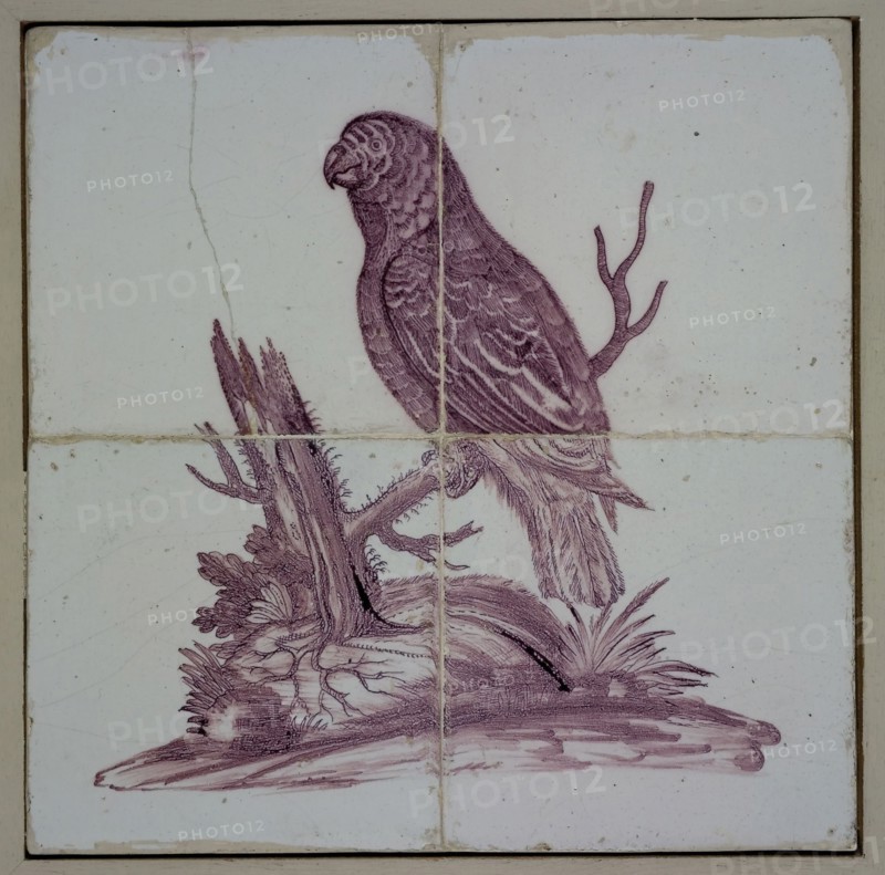 Tile panel, four tiles, purple on white, parrot on stalk, tile picture material ceramics pottery glaze tin glaze, baked 2x