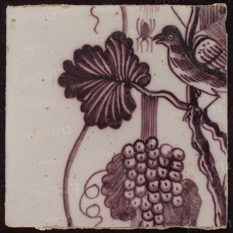Tile of tile pilaster with twisted column covered with leaves, grapes, insects, spiders and bird, tile pilaster footage fragment