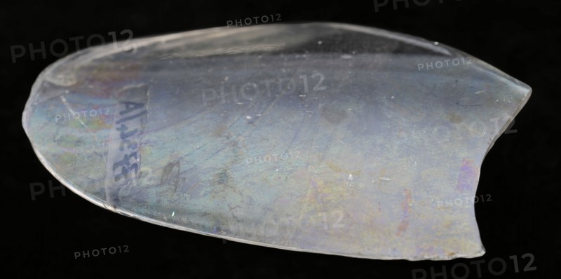 Two fragments of chalice or beakers, clear glass, drinking glass drinking utensils tableware holder fragment soil find glass