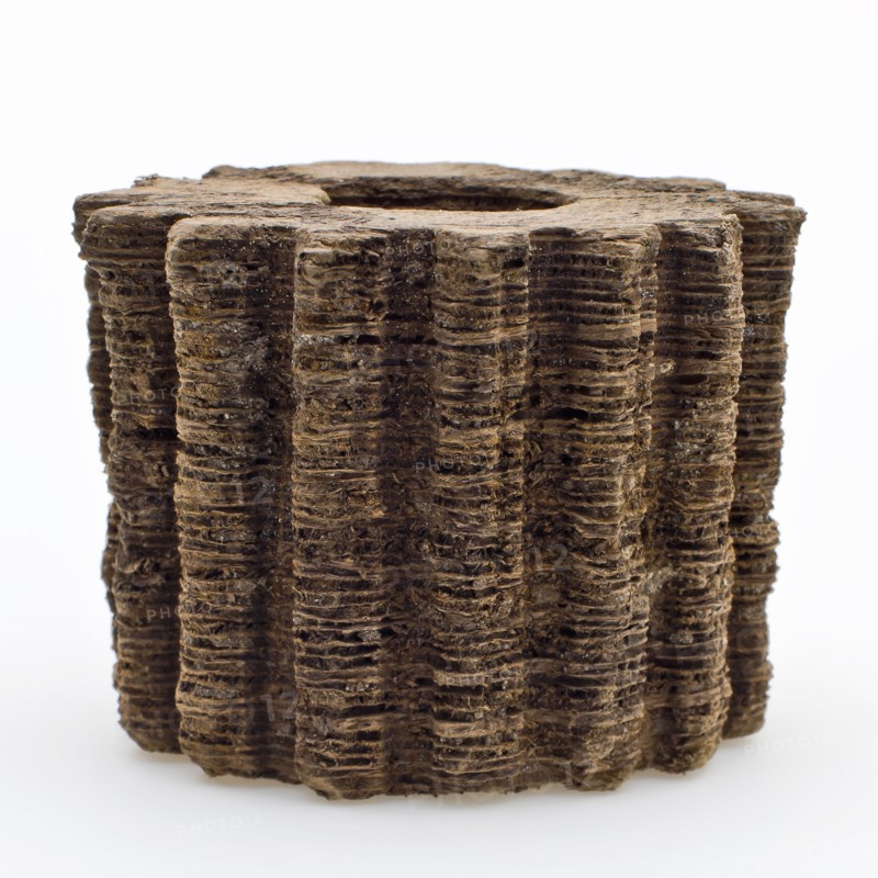 Wooden gear from drive of mill, gear part soil find wood, sawn drilled Wood gear from drive or transmission of grinder