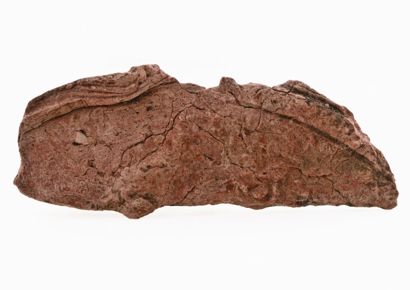 Fragment of large wax seal with fleur de lis and lettering, soft red, wax seal seal information form soil find lacquer