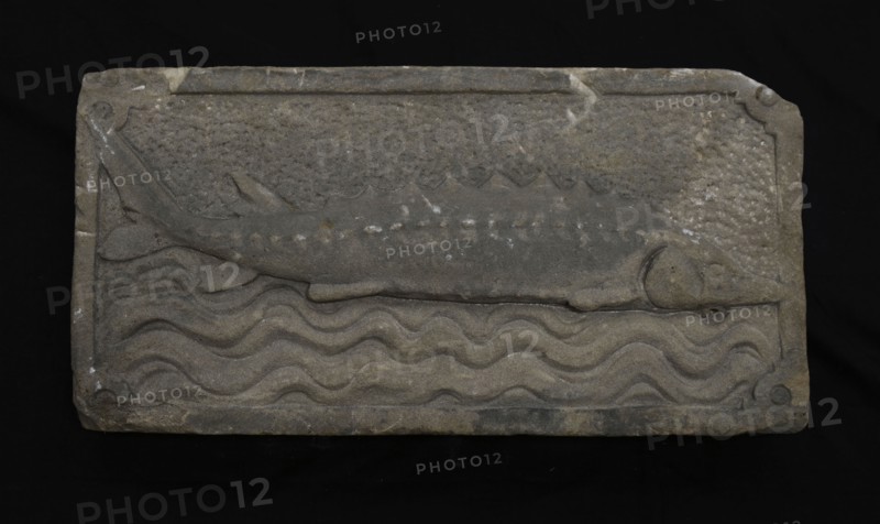Facade stone with sturgeon on waves, facing brick sculpture sculpture building component sandstone stone, sculpted Rectangular