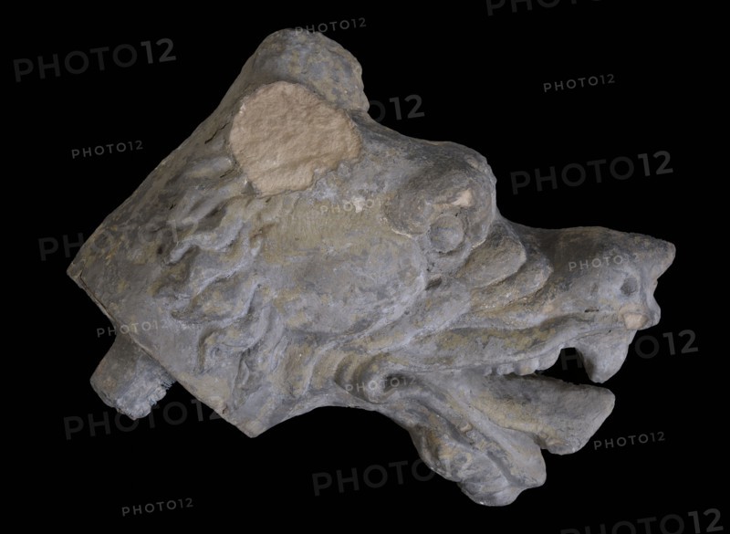 Wolf's head with opened mouth, sculpture sculpture sandstone stone iron copper lead metal, sculpted Wolf's head