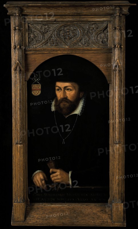 Portrait of Wilhelmus Cornelisz. Van Muylwijck, portrait painting visual material wood oil, Standing rectangular top arched