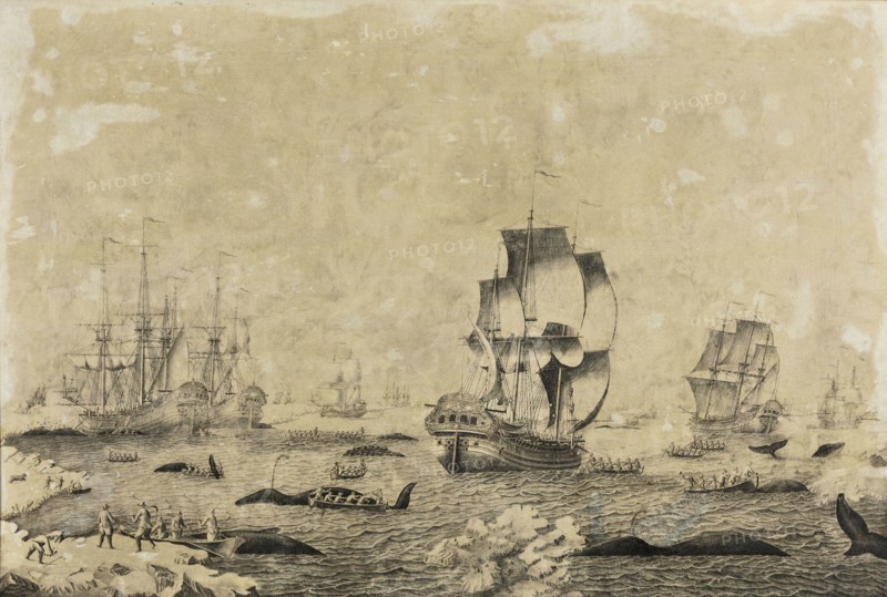 Roelof van Salm, Painting with whaling in operation, painting visual material oil paint linen, Oil on canvas, pen painting