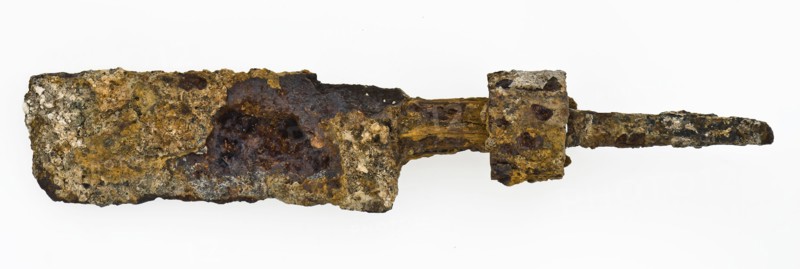 Blade of cleaver, with loose ring around sting, cleaver knife cutting tool soil find iron wood metal, Blade with narrowed angel