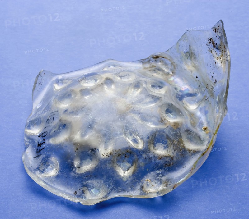 Fragment of soil with blackberry bud and part of the wall of the beaker cup, drinking cup drinking vessel holder soil find glass