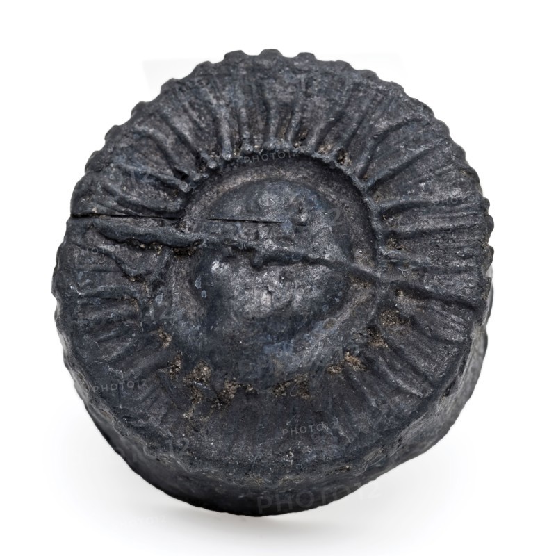 Pewter or lead cap with moon face in halo and text, lid closure holder soil find souvenir tin lead metal, die-cast Cap