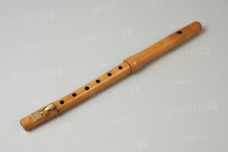Martin (?), Simple wooden (palm wood?) Flute or piccolo from three parts, flute flute aetrophone musical instrument acoustic