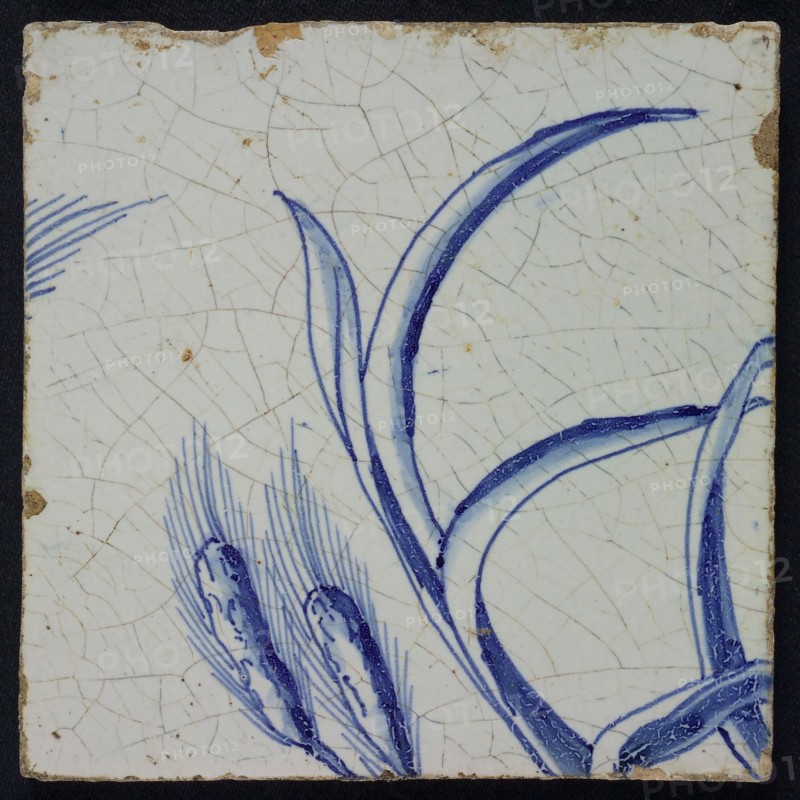 Blue tile with ear of corn, of chimney pilaster with 39 tiles, tile pilaster footage fragment ceramic pottery glaze, Nine blue