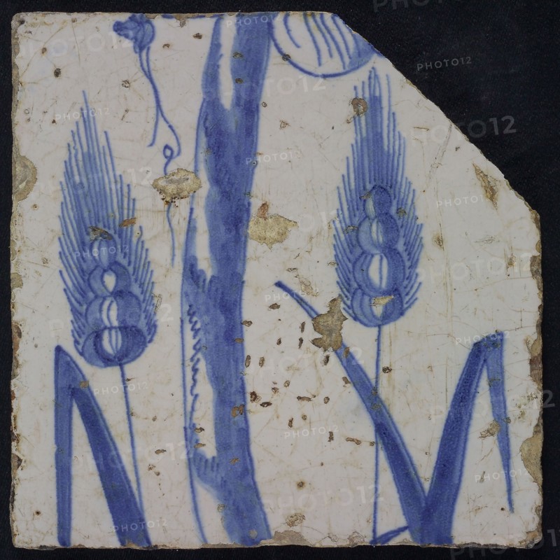 Blue tile of chimney pilaster with 13 tiles, ears of corn and stem, chimney pilaster tile pilaster footage fragment ceramics