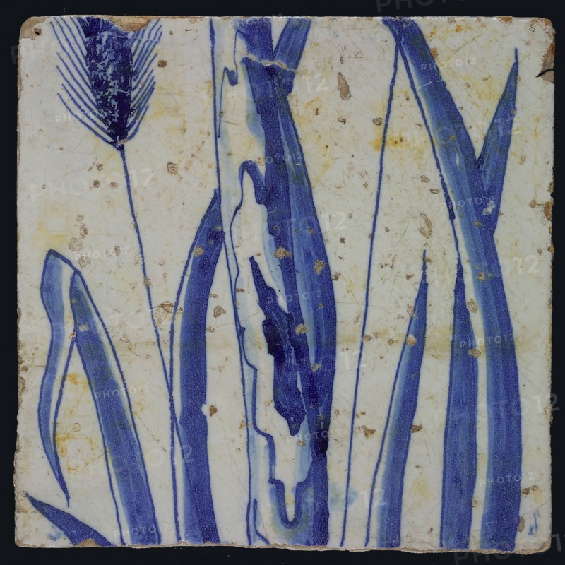 Blue tile with stems and ear of corn left, possibly belonging to chimney pilaster with 13 tiles, tree of bunches of grapes