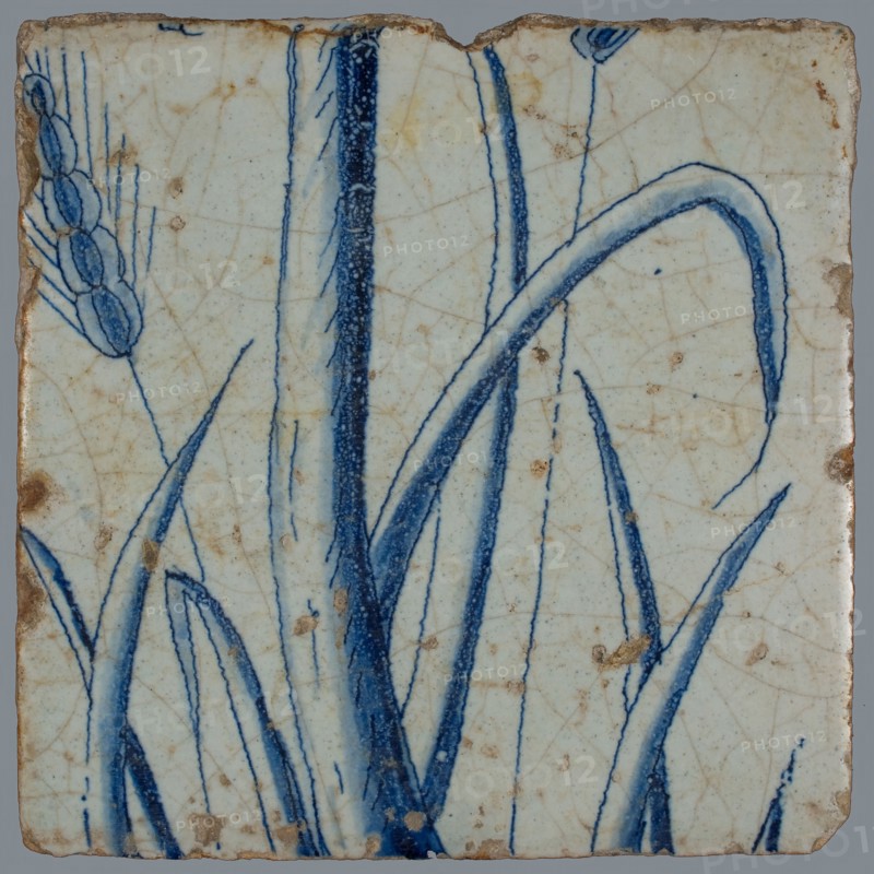 Blue tile with two ears of corn, leaf and stem, of chimney pilaster with 13 tiles, tree of bunches of grapes with birds, grain