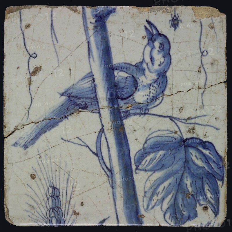 Blue tile with bird looking upwards on grape leaf, spider hanging on spiderweb, ear of corn, of pilaster with 13 tiles, tree