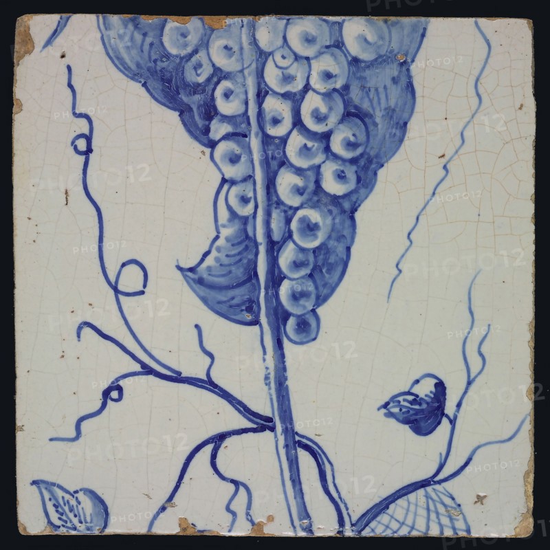 Blue grape stems with stem, spiderweb, leaves and tendrils belonging to chimney pilaster with 13 tiles, tree of bunches of