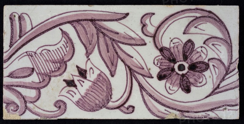 Rectangular edge tile in purple with hinged decor of tulip, with flower of ten oval petals, leaves, type of tulip fawn, yellow
