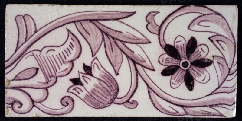 Rectangular edge tile in purple with hinged decor of tulip, with flower of ten oval petals, leaves, type of tulip fawn, yellow
