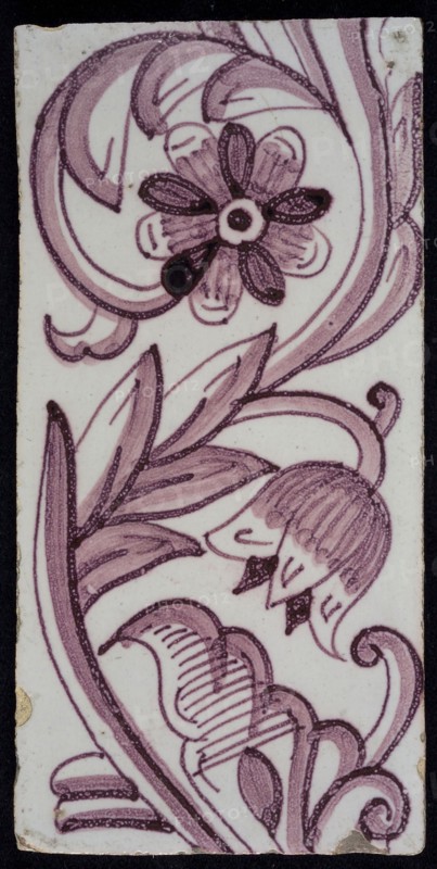 Rectangular edge tile in purple with hinged decor of tulip, with flower of ten oval petals, leaves, type of tulip fawn, yellow