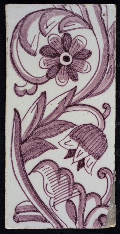 Rectangular edge tile in purple with hinged decor of tulip, with flower of ten oval petals, leaves, type of tulip fawn, yellow