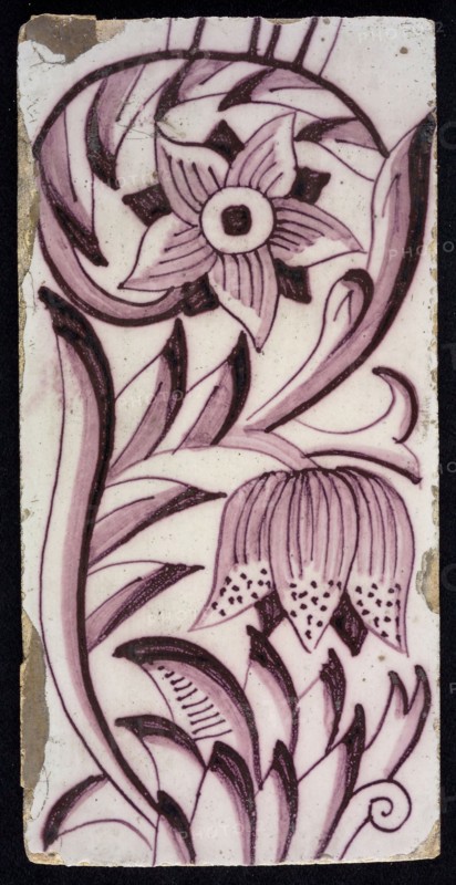 Rectangular edge tile in purple with sling decor of speckled tulip, flower with ten triangular petals, leaves, type of tulip