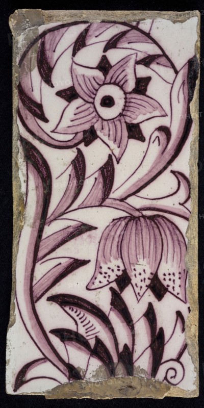 Rectangular edge tile in purple with sling decor of speckled tulip, flower with ten triangular petals, leaves, type of tulip