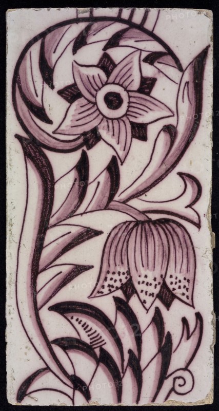 Rectangular edge tile in purple with sling decor of speckled tulip, flower with ten triangular petals, leaves, type of tulip