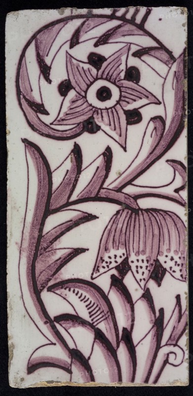 Rectangular edge tile in purple with sling decor of speckled tulip, flower with ten triangular petals, leaves, type tulip fawn