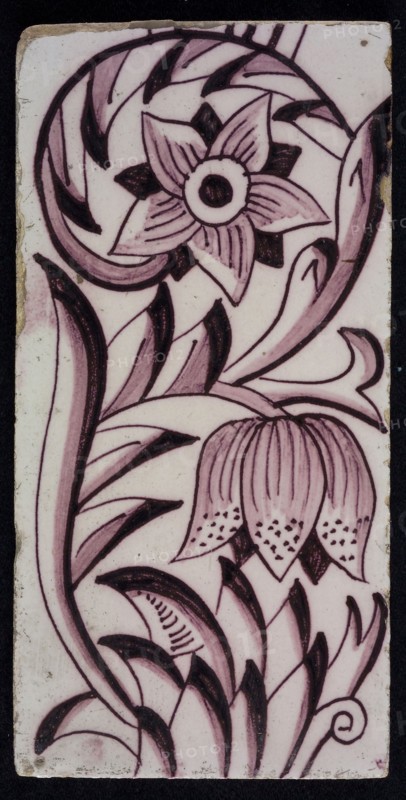 Rectangular edge tile in purple with sling decor of speckled tulip, flower with ten triangular petals, leaves, type of tulip