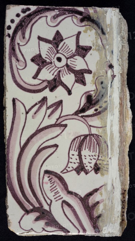 Rectangular edge tile in purple with sling-decoration of speckled tulip, flower with ten triangular petals