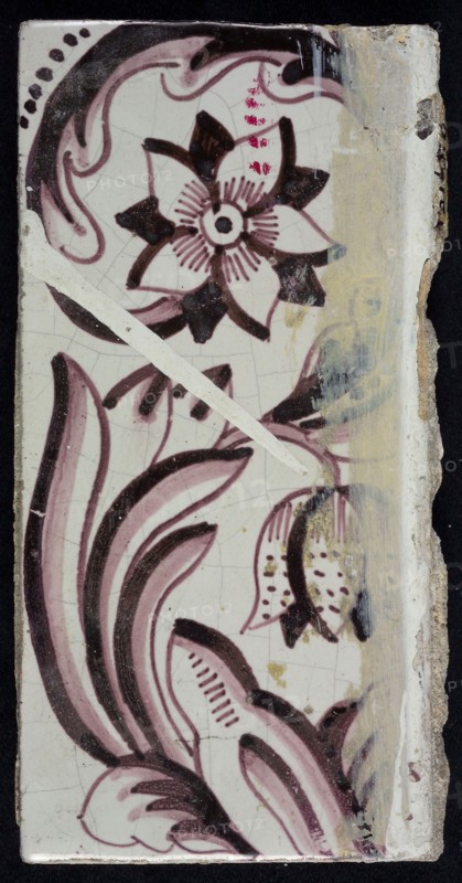 Rectangular edge tile in purple with sling decor of speckled tulip, flower with ten triangular petals
