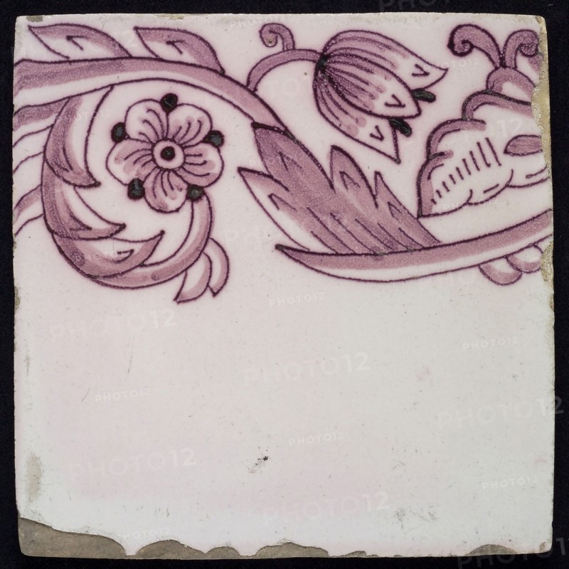 Border tile, purple on lilac fond with tulip garland, flower with five oval petals, leaves, tulip fin on whole, yellow pottery