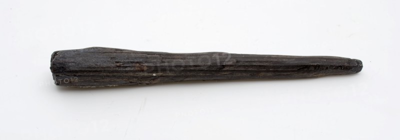 Wooden pen, pointed, pen construction material soil finds timber, sawn cut Wood pin made of pine wood. Conical in shape