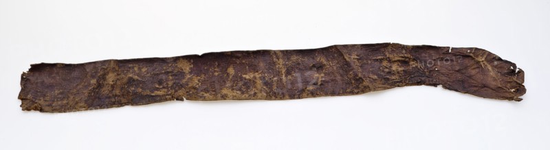 Fragment leather belt, belt, belt belt bottomfound leather, tanned cut sewn Narrow strip of belt or belt with two narrow and one