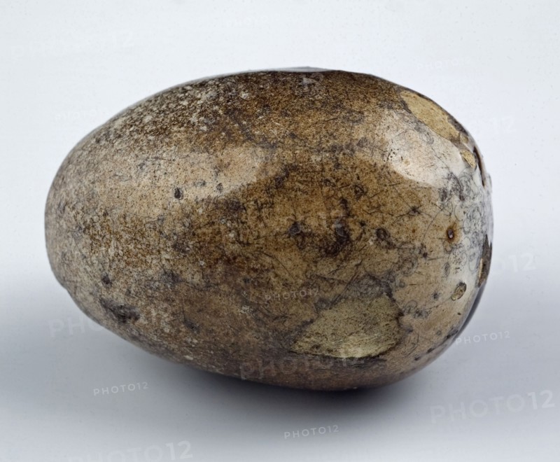 Earthenware glaze test in the form of an egg, white glazed, test piece egg soil finds ceramic earthenware glaze tin glaze, hand