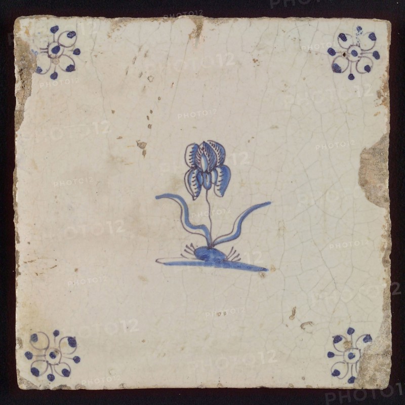 White tile with blue flower, orchid, corner motif spider, wall tile tile sculpture ceramic earthenware glaze, baked 2x glazed
