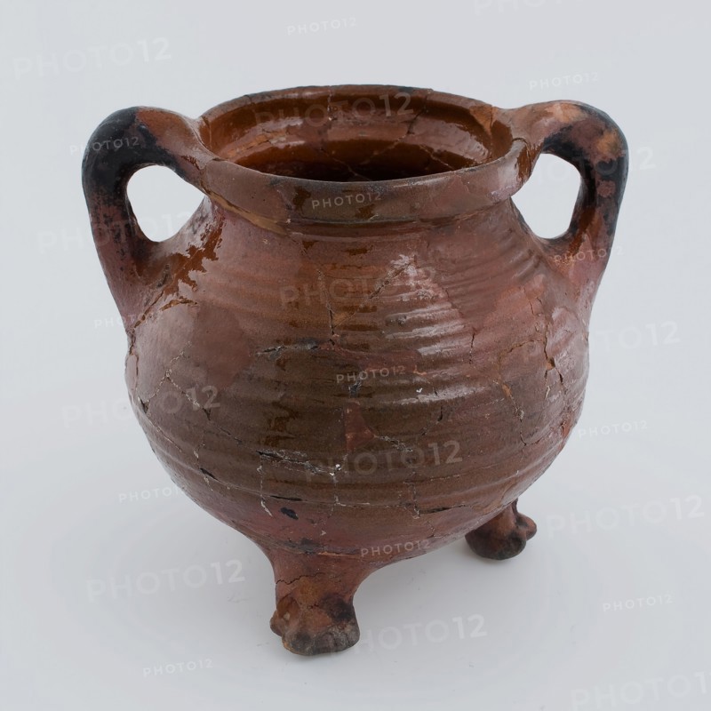 Grape on three legs, two standing sausage ears and rotating feathers on the shoulder, grape cooking pot crockery holder kitchen