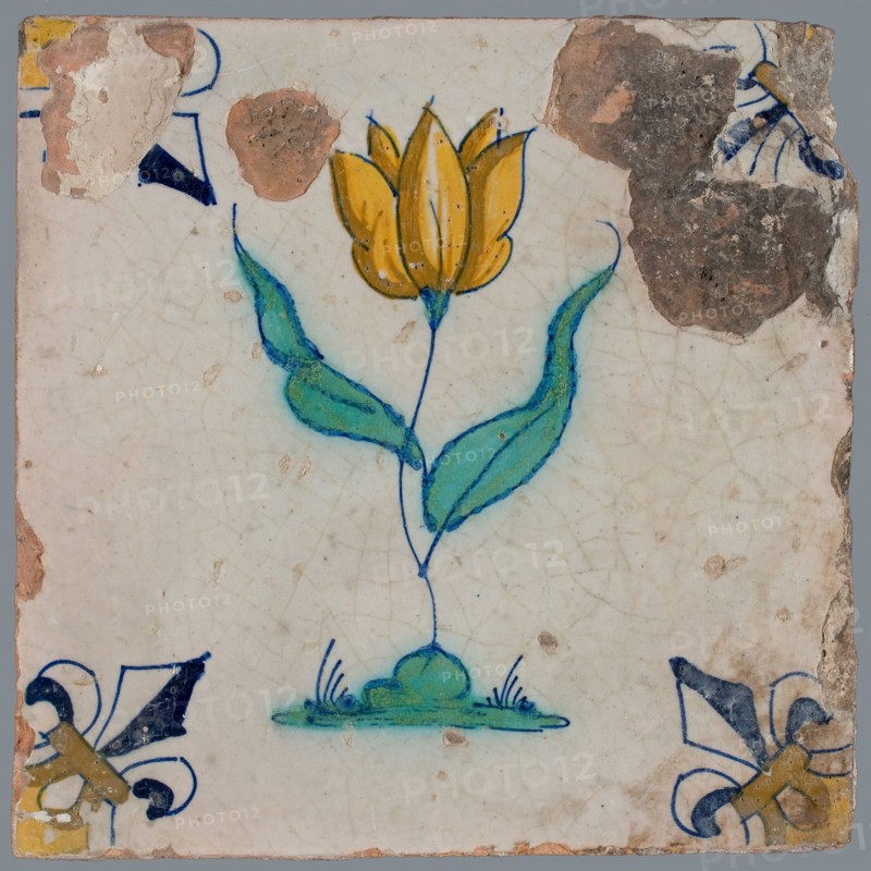 Tile, flower on ground in yellow, brown, green and blue on white, corner pattern french lily, corner point yellow, wall tile