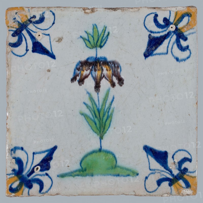 Tile, flower on ground in yellow, brown, green and blue on white, corner pattern french lily, corner point yellow, wall tile