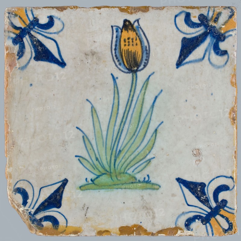 Tile, flower on ground in yellow, green and blue on white, corner pattern french lily, corner point yellow, wall tile