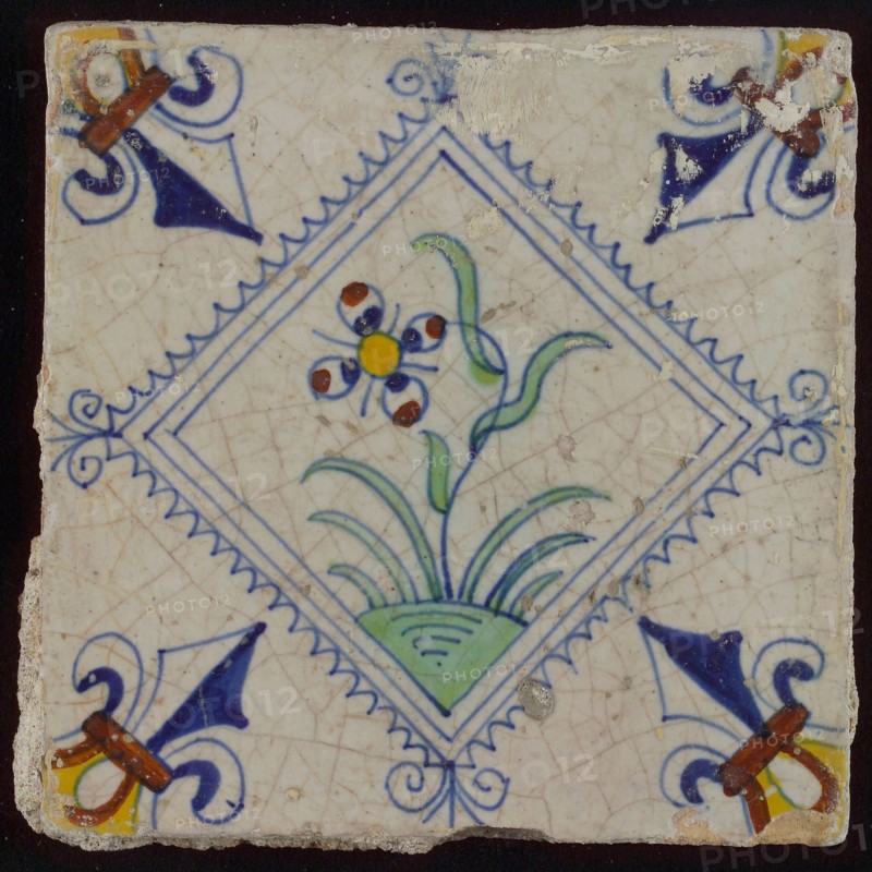 Tile, flower on ground in brown, yellow, green and blue on white, inside serrated square with plume, corner pattern french lily