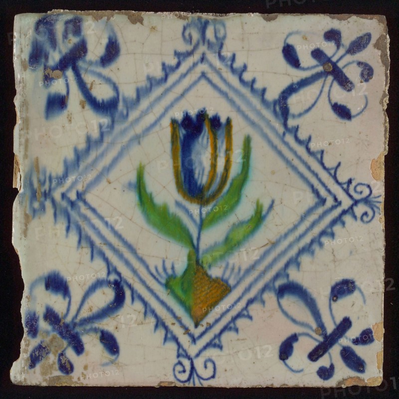 Tile, tulip on ground in orange, green and blue on white, inside serrated square with plume, corner pattern french lily, wall