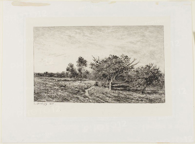 Apple Trees at Auvers, 1877, Charles François Daubigny, French, 1817-1878, France, Etching on chine collé on paper, 144 × 242 mm (image), 197 × 281 mm (plate), 264 × 355 mm (sheet)