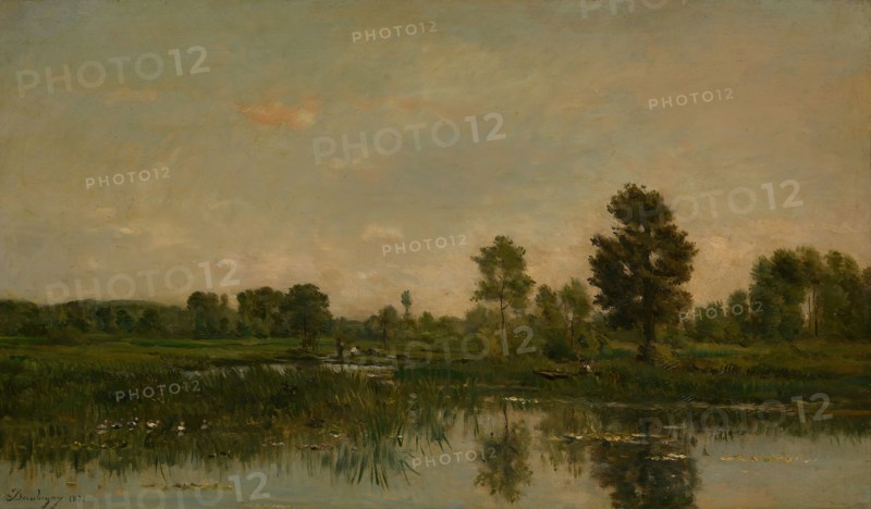 The Marsh, 1871, Charles François Daubigny, French, 1817-1878, France, Oil on panel, 34.4 × 58.2 cm (13 9/16 × 22 15/16 in.)